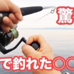 【驚愕】堤防釣りでこんなのが釣れるの？【ショアジギング/飲ませ釣り】