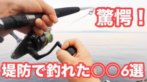 【驚愕】堤防釣りでこんなのが釣れるの?【ショアジギング/飲ませ釣り】