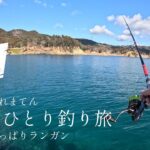 真冬ひとり釣り旅【初上陸！宮城県牡鹿半島アイナメ】陸っぱりで釣るまで帰れまてん #アイナメ #ロックフィッシュ #牡鹿半島  #釣り