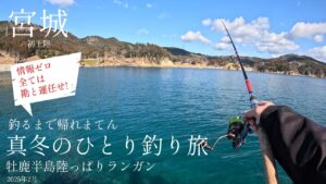 真冬ひとり釣り旅【初上陸！宮城県牡鹿半島アイナメ】陸っぱりで釣るまで帰れまてん #アイナメ #ロックフィッシュ #牡鹿半島  #釣り