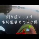 釣り道でしょう／古利根沼 カヤック編