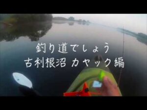 釣り道でしょう/古利根沼 カヤック編