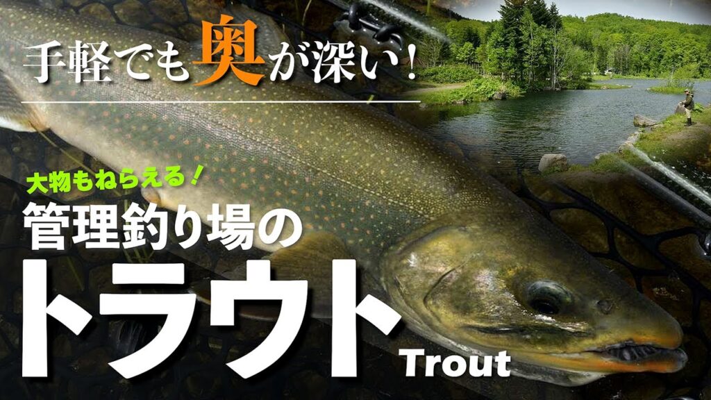 【エリアトラウト】釣り入門はもちろん、実は奥が深い管理釣り場のトラウトフィッシング！