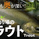 【エリアトラウト】釣り入門はもちろん、実は奥が深い管理釣り場のトラウトフィッシング！