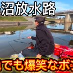 びん沼放水路で爆笑へらぶな釣り。放水路も広っぱも悶絶！丸堀はやっぱり風に強い！
