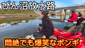 びん沼放水路で爆笑へらぶな釣り。放水路も広っぱも悶絶！丸堀はやっぱり風に強い！