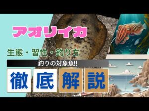 【徹底解説!!】釣りの対象魚アオリイカ!モイカともいわれるアオリイカの特徴・生態・釣り方まで全てわかる!