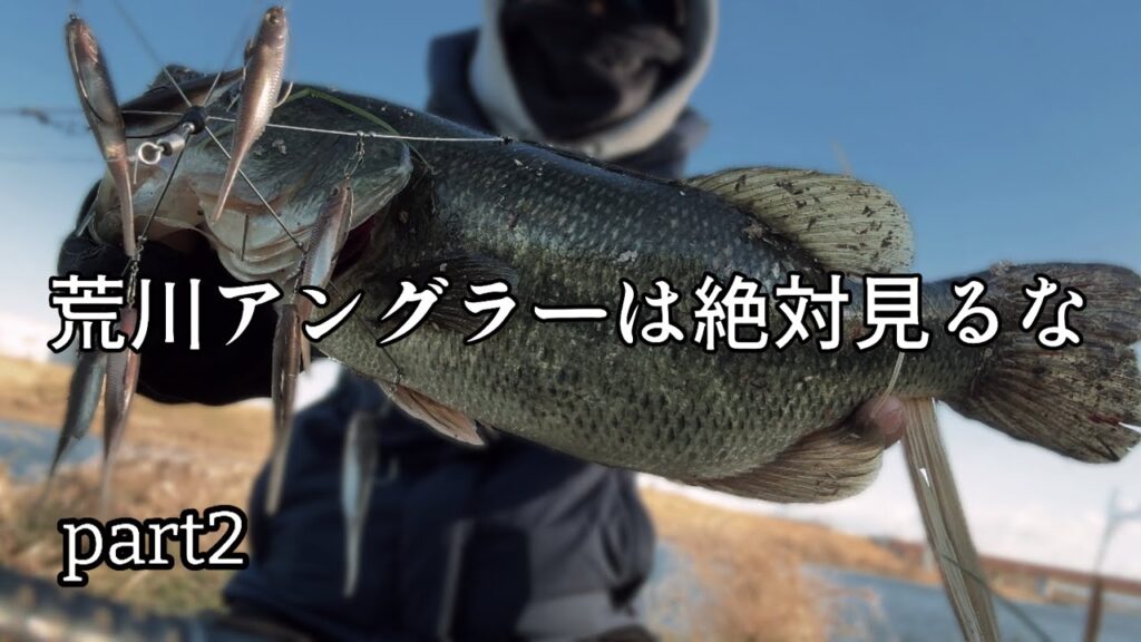 【荒川バス釣り】だから荒川アングラーは見ないでって言ったのに...のお知らせ