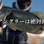 【荒川バス釣り】だから荒川アングラーは見ないでって言ったのに...のお知らせ