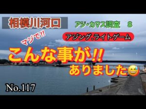【相模川河口】お久しぶりで、ごめんなさい🙏