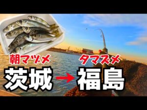 茨城県～福島県  ふたつの堤防でアジ釣り 親切な地元の人のおかげで楽しく釣りができました