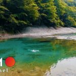 【うらたんざわ渓流釣場】相模原市青根のストリーム管理釣り場でエリアトラウト＆暴飲ベロベロ反省会