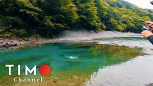 【うらたんざわ渓流釣場】相模原市青根のストリーム管理釣り場でエリアトラウト＆暴飲ベロベロ反省会