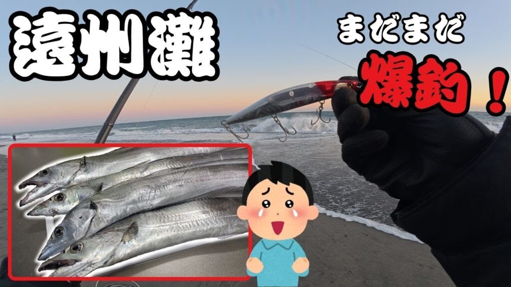 【遠州灘サーフ】オフシーズンでもまだまだ釣れる激熱サーフ