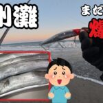 【遠州灘サーフ】オフシーズンでもまだまだ釣れる激熱サーフ