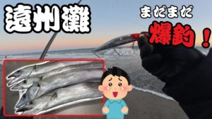 【遠州灘サーフ】オフシーズンでもまだまだ釣れる激熱サーフ