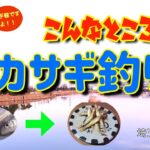 こんなところでワカサギ釣り！　柴山沼