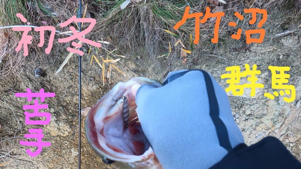 【初冬の竹沼】苦手なフィールドで短時間釣行した結果【百均メタルジグ】【群馬】