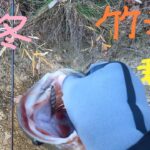 【初冬の竹沼】苦手なフィールドで短時間釣行した結果【百均メタルジグ】【群馬】