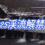 【渓流釣り】㊗️渓流釣り解禁！解禁日から三刀流（？）してきました【長野県千曲川水系】
