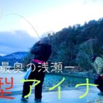 大型アイナメ！宮城の根魚全種釣りました♪