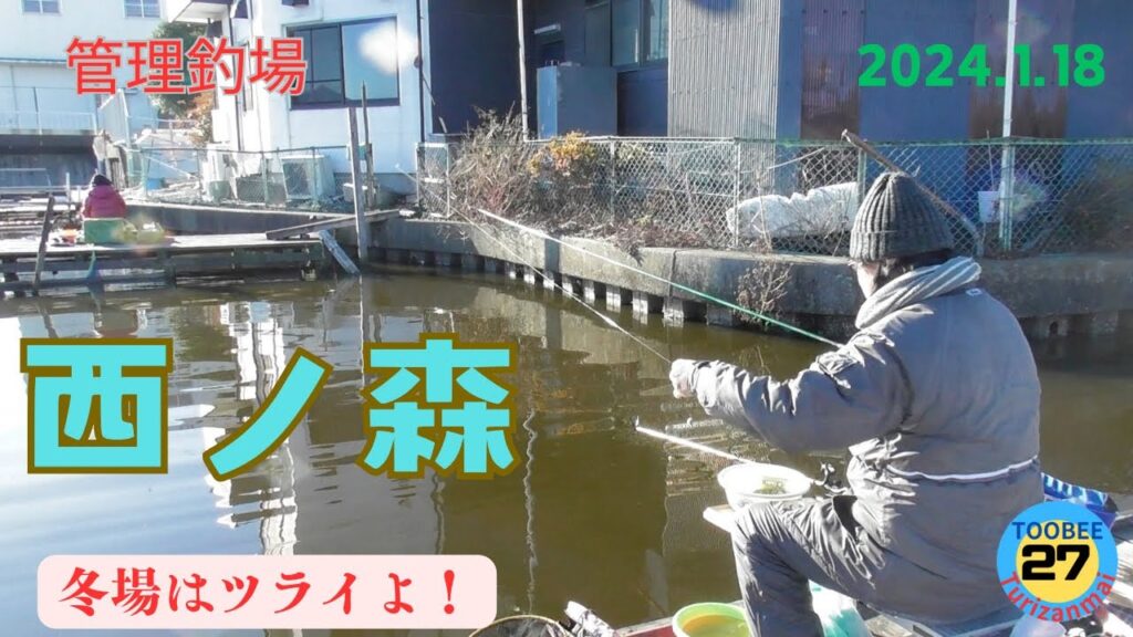 冬の管理釣り場釣行とあの池は今【トーベエ釣り三昧】