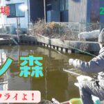 冬の管理釣り場釣行とあの池は今【トーベエ釣り三昧】