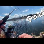 権現堂の温排水、リベンジ！ バス釣り おかっぱり