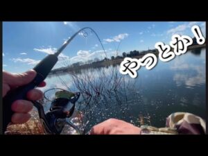 権現堂の温排水、リベンジ！ バス釣り おかっぱり