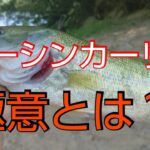 【バス釣り】【竹沼】真夏の昼間はノーシンカーワームが釣れる【ジャッカルフリックシェイク】【ジャッカルヤミーフィッシュ】