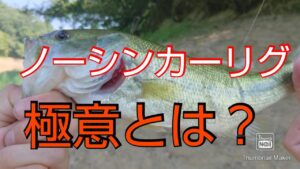 【バス釣り】【竹沼】真夏の昼間はノーシンカーワームが釣れる【ジャッカルフリックシェイク】【ジャッカルヤミーフィッシュ】