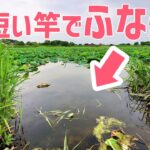 【ウキ釣りだいちゃん】城沼（群馬県館林市）初場所でヘラマブ爆釣！