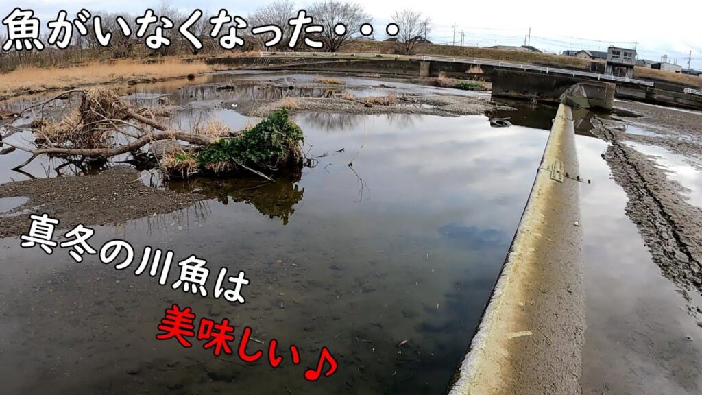 真冬の美味しい川魚♪