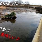 真冬の美味しい川魚♪