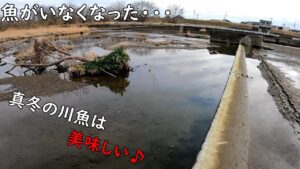 真冬の美味しい川魚♪