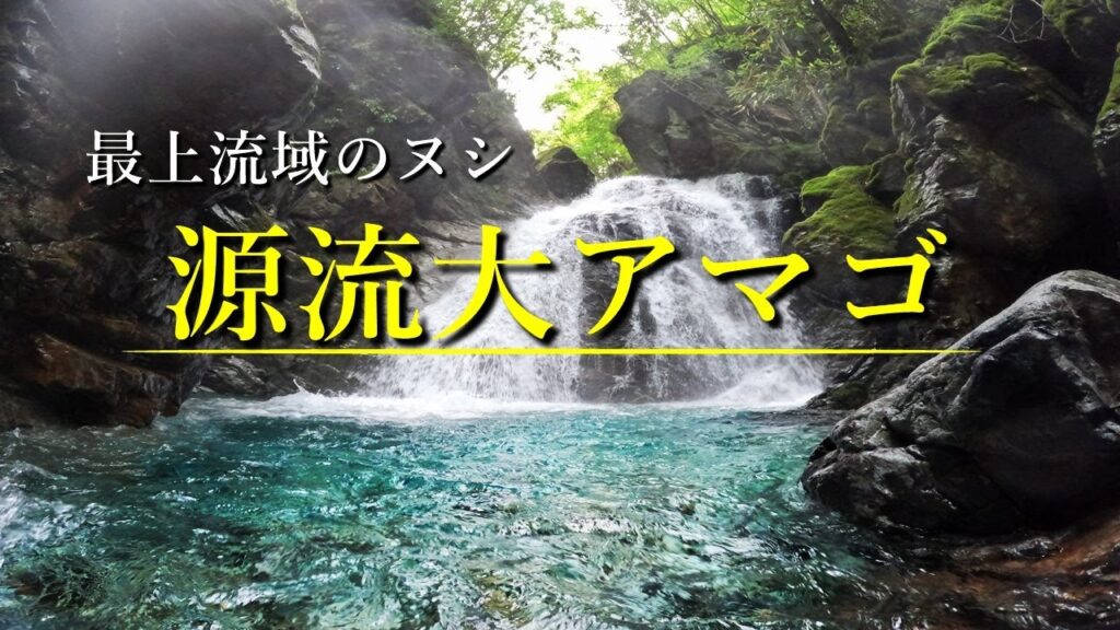 最上流域のヌシ『源流大アマゴ』を釣り上げるために…【渓流釣り】