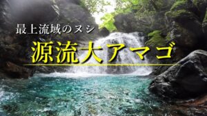 最上流域のヌシ『源流大アマゴ』を釣り上げるために…【渓流釣り】
