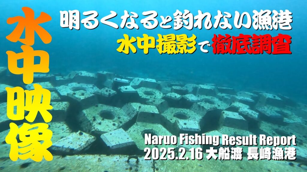 長崎漁港で水中映像！明るくなると釣れなくなる漁港の実態を徹底調査！
