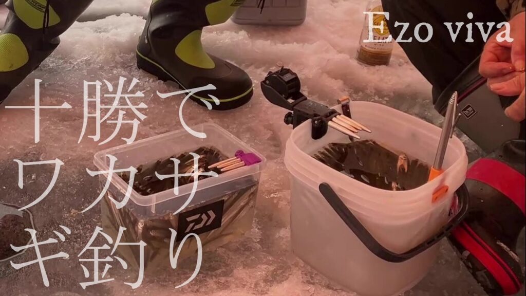 【北海道・ワカサギ釣り】北海道・十勝地域の湖沼で爆釣( ｀ー´)ノ