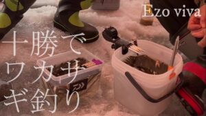 【北海道・ワカサギ釣り】北海道・十勝地域の湖沼で爆釣( ｀ー´)ノ