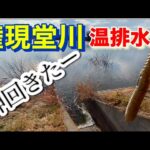 真冬の権現堂 ストーンリグで仕留める！  温排水 バス釣り おかっぱり