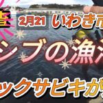 トリックサビキで一番厳しい時期にお魚ゲット狙い！いわき釣り