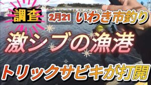 トリックサビキで一番厳しい時期にお魚ゲット狙い！いわき釣り
