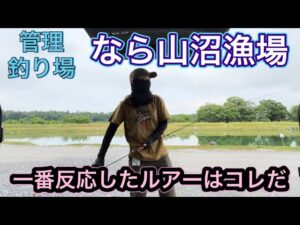 【エリアトラウト】久々の管理釣り場！入れ食いを想像して行ったらとんでもなかった...【釣り女子】