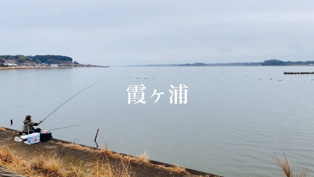 茨城県にある霞ヶ浦が釣れ始めたと聞いたので行ってみた！
