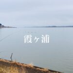 茨城県にある霞ヶ浦が釣れ始めたと聞いたので行ってみた！