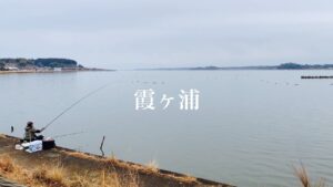 茨城県にある霞ヶ浦が釣れ始めたと聞いたので行ってみた！
