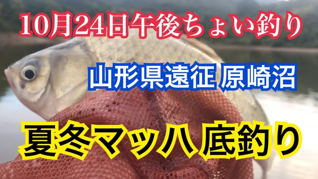 へらぶな釣り・山形県原崎沼午後からちょい釣り