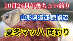 へらぶな釣り・山形県原崎沼午後からちょい釣り