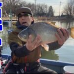 上野沼で釣りをしたら、巨大なヘラブナが現れた！